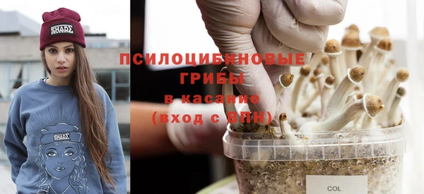 бутират Пересвет