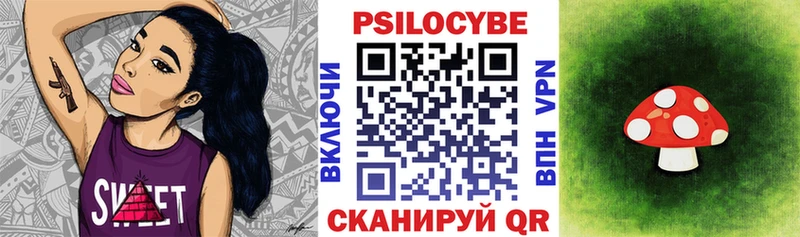 площадка состав  Эртиль  Псилоцибиновые грибы прущие грибы 
